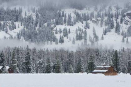 Picture of METHOW VALLEY BARN