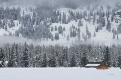 Picture of METHOW VALLEY BARN