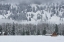 Picture of METHOW VALLEY BARN