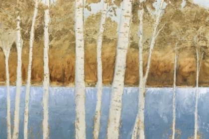 Picture of LAKESIDE BIRCHES
