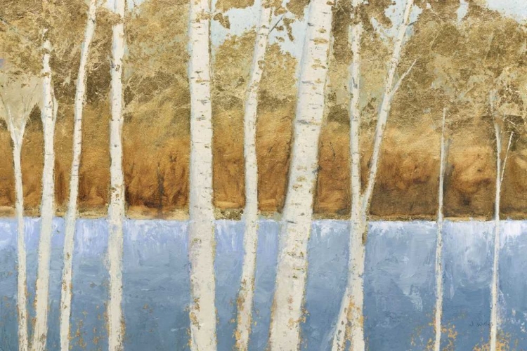 Picture of LAKESIDE BIRCHES