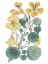 Picture of ANTIQUE BOTANICAL XVII COOL