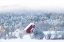 Picture of SNOWY VALLEY