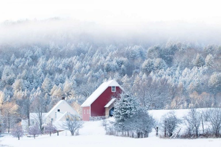 Picture of SNOWY VALLEY