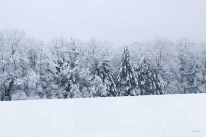 Picture of SNOWSHOE HILL