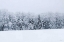 Picture of SNOWSHOE HILL