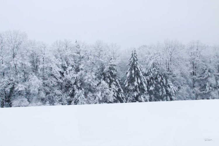 Picture of SNOWSHOE HILL