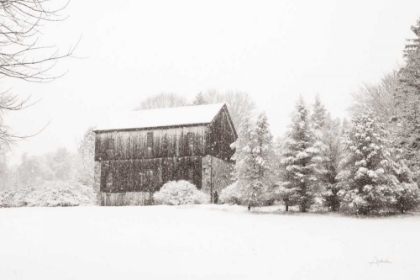 Picture of FIRST SNOW BW CROP