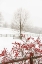 Picture of RED ON WHITE