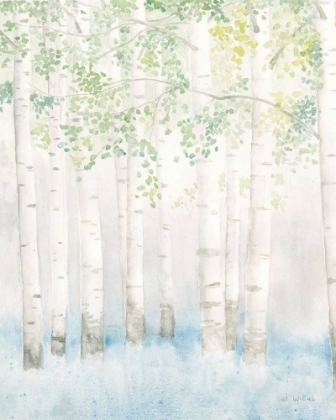 Picture of SOFT BIRCHES II