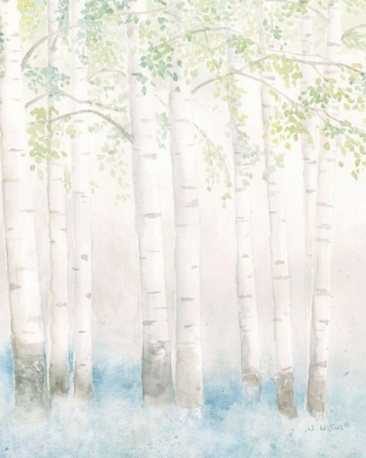Picture of SOFT BIRCHES III