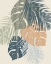 Picture of MONSTERA VI