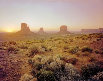 Picture of DAWN IN THE DESERT
