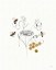 Picture of BEES AND BOTANICALS V