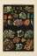 Picture of PRECIOUS STONES III