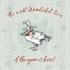 Picture of FARMHOUSE CHRISTMAS V