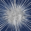 Picture of SUNBURST I