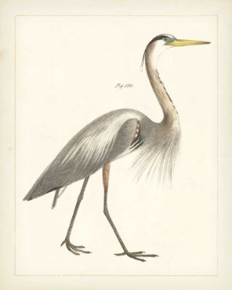 Picture of VINTAGE HERON I