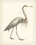 Picture of VINTAGE HERON I
