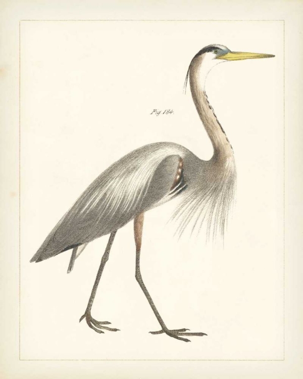 Picture of VINTAGE HERON I