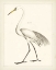 Picture of VINTAGE HERON II