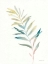 Picture of GREENERY II