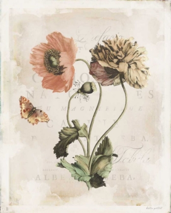 Picture of ANTIQUARIAN BLOOMS IV
