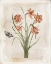 Picture of ANTIQUARIAN BLOOMS V