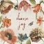 Picture of ANTIQUARIAN BLOOMS VIII