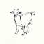 Picture of LINE GOAT NAVY