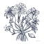 Picture of WILD FLOWERS LINE II NAVY