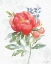Picture of FLORAL FOCUS VII
