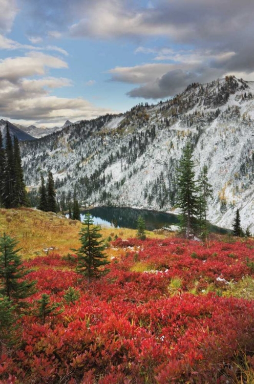 Picture of LAKE ANN NORTH CASCADES 