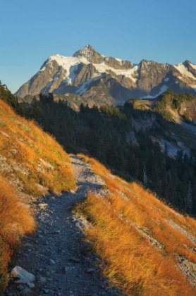 Picture of MOUNT SHUKSAN NORTH CASCADES
