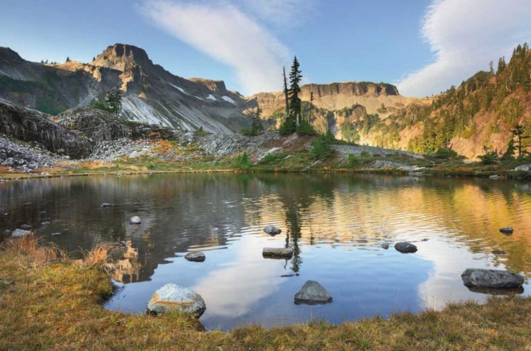 Picture of HEATHER MEADOWS IN AUTUMN