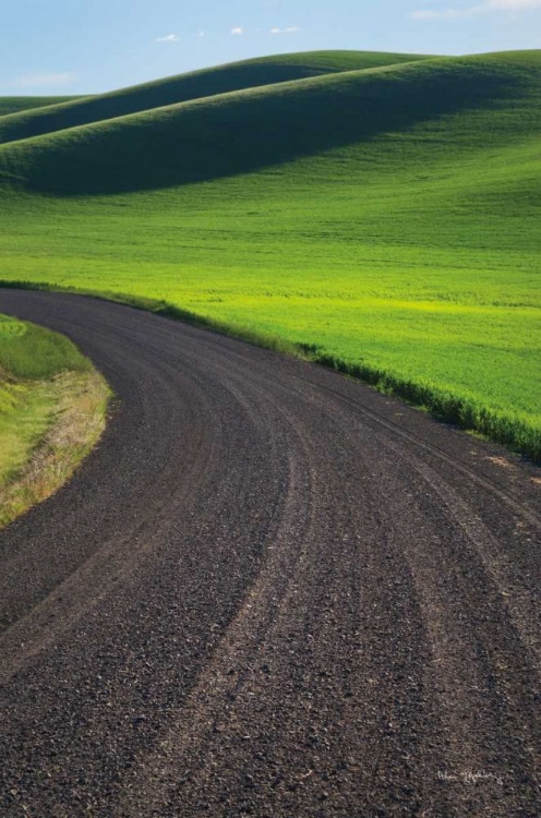 Picture of GOING THROUGH PALOUSE WHEAT FIELDS
