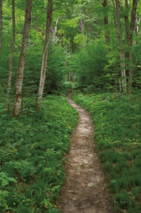 Picture of NORTH COUNTRY TRAIL