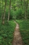 Picture of NORTH COUNTRY TRAIL