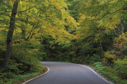 Picture of SMUGGLERS NOTCH ROAD