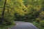 Picture of SMUGGLERS NOTCH ROAD