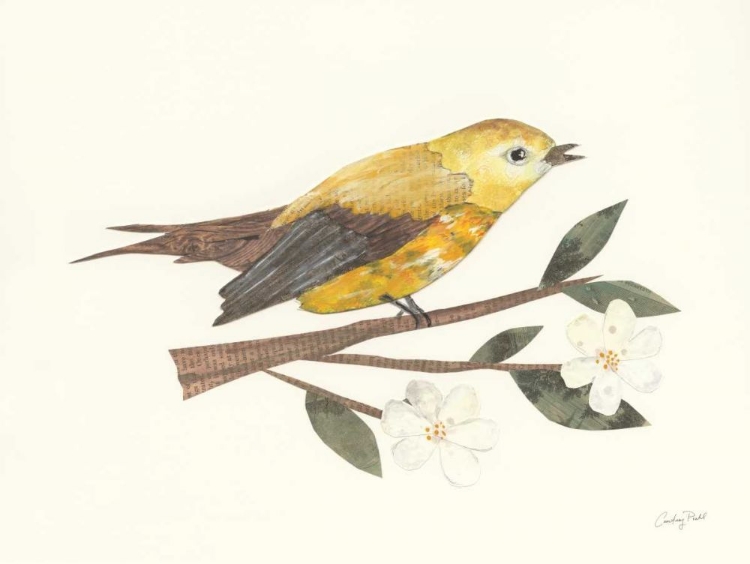 Picture of BIRDS AND BLOSSOMS I