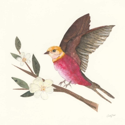 Picture of BIRDS AND BLOSSOMS IV
