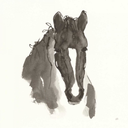 Picture of HORSE PORTRAIT III