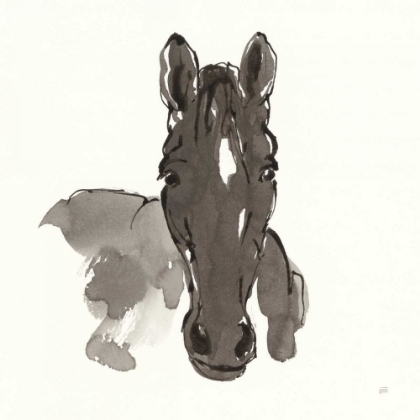 Picture of HORSE PORTRAIT IV