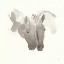 Picture of NUZZLING IV