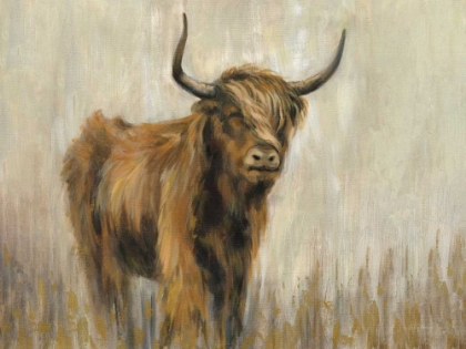 Picture of HIGHLAND MOUNTAIN COW
