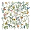 Picture of FLOWERS AND BUTTERFLIES