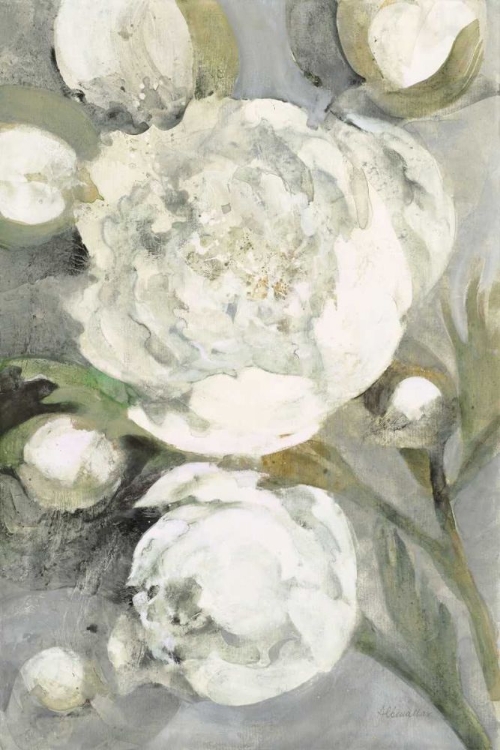 Picture of FAVORITE WHITE PEONIES