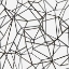 Picture of SUCCULENT PATTERN BW