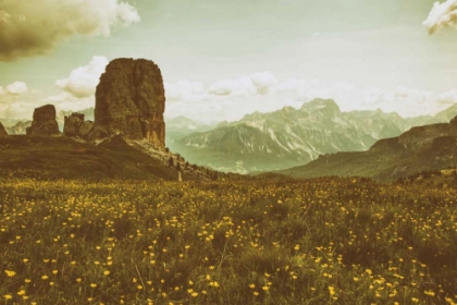 Picture of FLORAL FIELDS